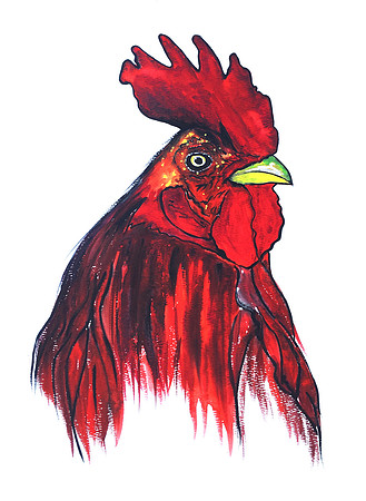 Key West Rooster Water Color Painting