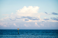 0N8A3399-2