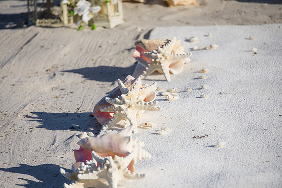 0N8A2150-2