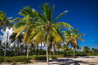 2026-08-08 Kelly and Michael Smathers Beach, Key West
