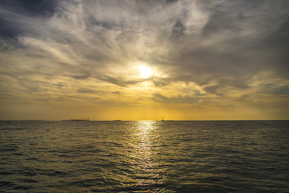 0N8A8593-3