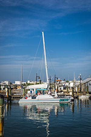 0N8A8382-3