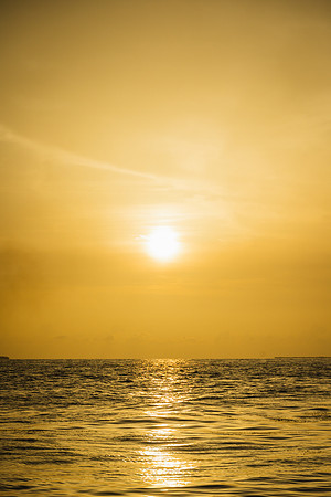 0N8A9019-3