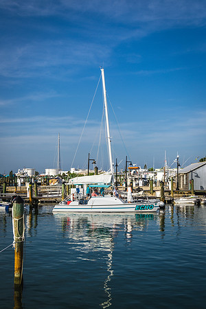 0N8A8383-3