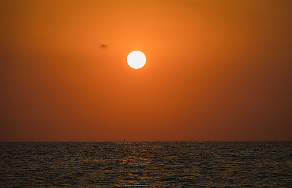 2023-05-06 Sabra and Mark Key West Sunrise Wedding-7376