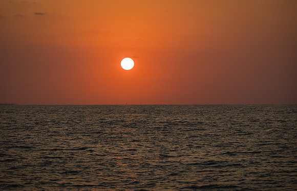 2023-05-06 Sabra and Mark Key West Sunrise Wedding-7339