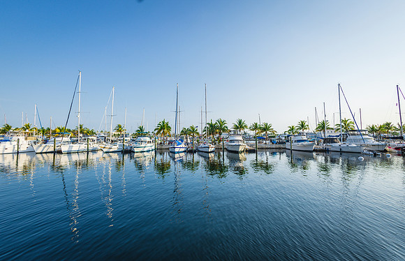 2023-05-06 Sabra and Mark Key West Sunrise Wedding-8554