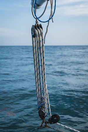 0N8A8627-3