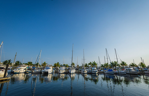 2023-05-06 Sabra and Mark Key West Sunrise Wedding-8565