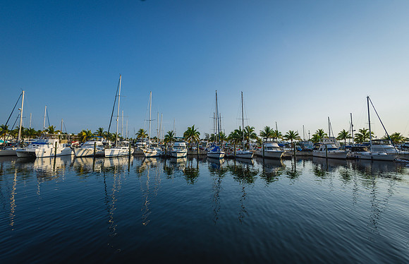 2023-05-06 Sabra and Mark Key West Sunrise Wedding-8559