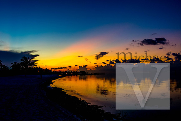 Key West Nature