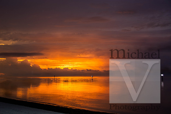 Key West Nature