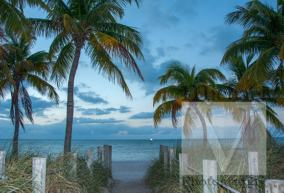 Key West Nature