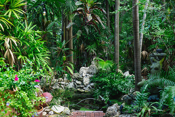2023-08-25 Colleen and Michael Beach The Garden Hotel Key West Proofing Album-2060