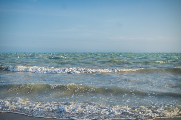 2023-08-30 Dog Beach Wedding Vow Renewal part2-117