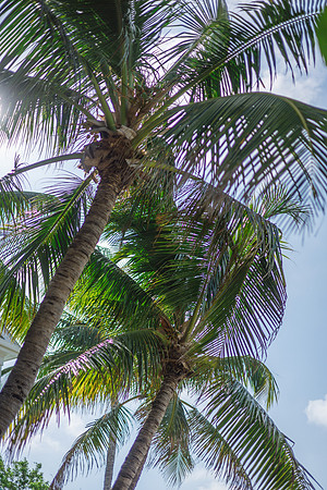 2023-08-31 Jennifer and Levi Proofing ALbum-3425