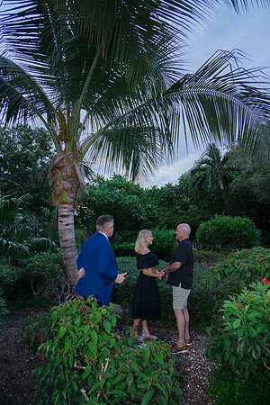 2023-10-11 Butterfly Truman  Park  Wedding Vow Renewal-1137