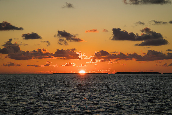 2023-9-14 Higgs Beach Wedding, Schooner Appledore Star Key West-7650