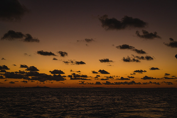 2023-9-14 Higgs Beach Wedding, Schooner Appledore Star Key West-7713