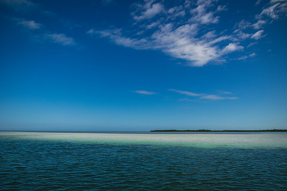 2023-10-31 Island to Island Wedding on the Sandbar-8784