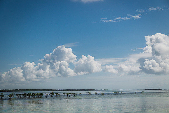 2023-10-31 Island to Island Wedding on the Sandbar-9374