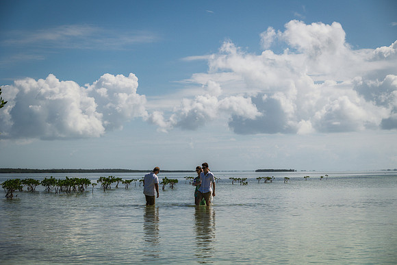 2023-10-31 Island to Island Wedding on the Sandbar-9394