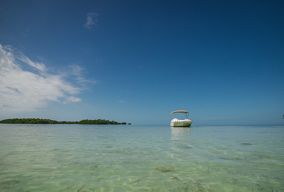 2023-10-31 Island to Island Wedding on the Sandbar-9396