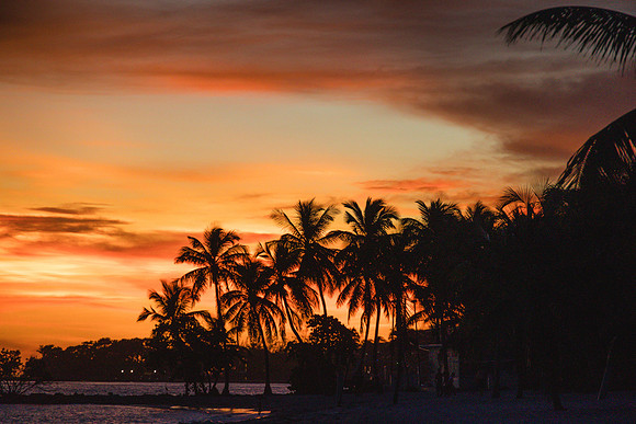 2023-10-13  Smatehrs Beach Wedding, Key West-2-148
