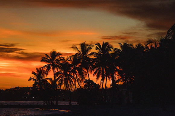 2023-10-13  Smatehrs Beach Wedding, Key West-2-149