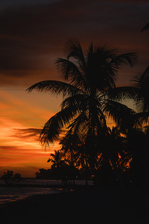 2023-10-13  Smatehrs Beach Wedding, Key West-2-151