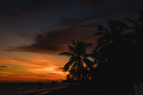 2023-10-13  Smatehrs Beach Wedding, Key West-2-150