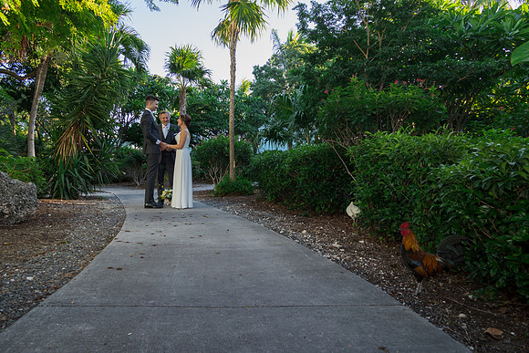 2023-11-11  Laura and Sergey Key West Tuman Butterfly Garden-2713