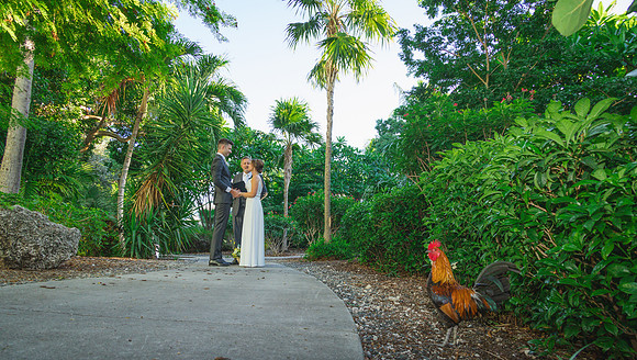 2023-11-11  Laura and Sergey Key West Tuman Butterfly Garden-2719