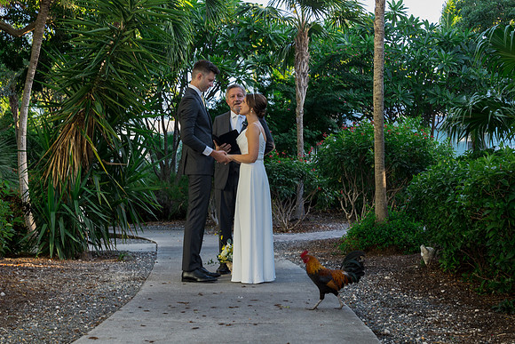 2023-11-11  Laura and Sergey Key West Tuman Butterfly Garden-2729