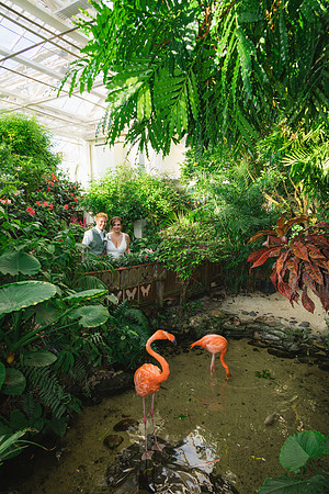 2023-10-07 Butterfly Conservatory Part 2 Ceremony -9976