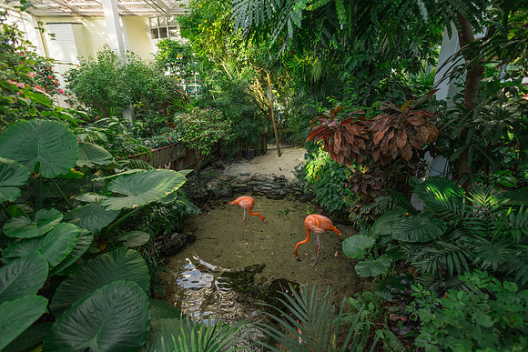 2023-10-07 Butterfly Conservatory Part 1 Ceremony -2-95