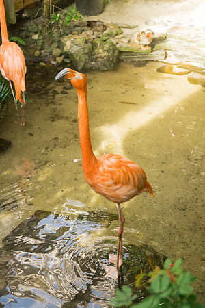 -2023-10-13 Melanie and Cullen Butterfly Conservatory -2023-10-13 Melanie and Cullen Butterfly Conservatory_-2-55