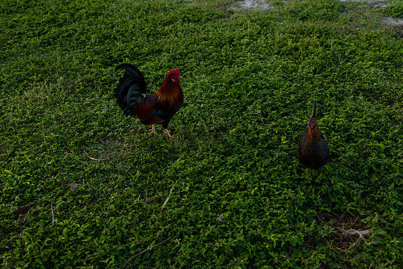 2023-11-22 Aileen and Emmett Sunrise Wedding_-91
