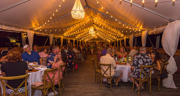 2023-11-17  Andrea and Pete Wedding, Ocean Key Resort and Spa, Key West   Part 4-1866