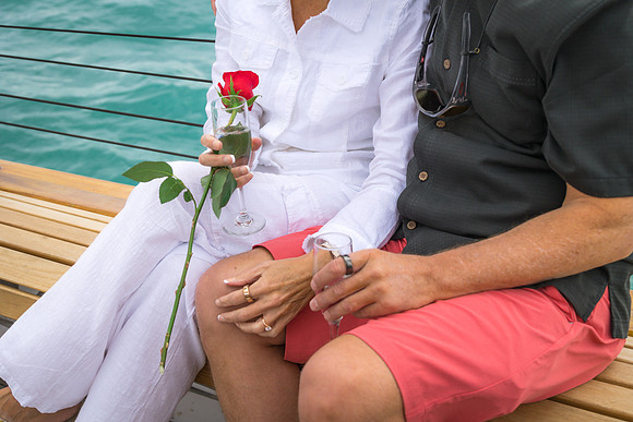 2023-12-06 Surprise Proposal Part One -1274