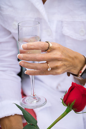 2023-12-06 Surprise Proposal Part One -1186