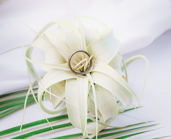 2023-11-17 Andrea and Pete Wedding Ocean Key resort and Spa-3307