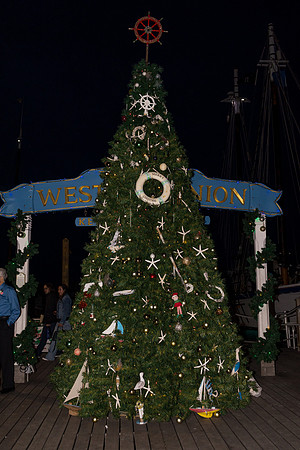 2023-12-12 Sherrie and John  Wedding in  Key West part1-9278