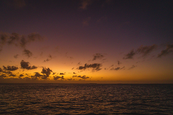 2023-11-21  LeAnn and Bruce Wedding in Key West Sunset Wedding -5623
