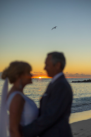 2023-12-31 Sunset Wedding Part 2-3-97